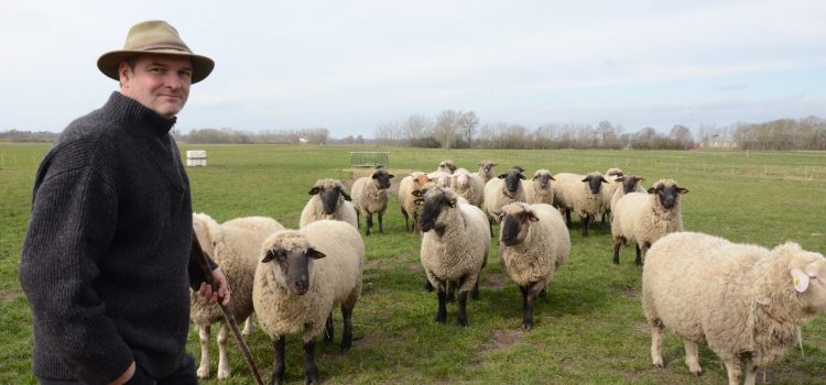 Ein Leben für die Schafe