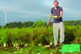 DAMIT WENIGER  ESSEN IM MÜLL LANDET