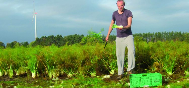 DAMIT WENIGER  ESSEN IM MÜLL LANDET