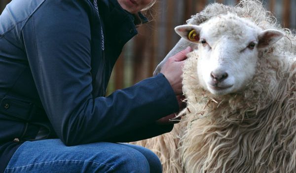 Im Auftrag für das Tierwohl